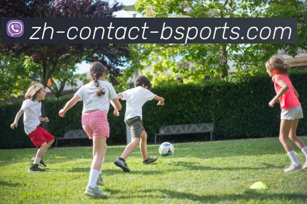 B体育平台生态图